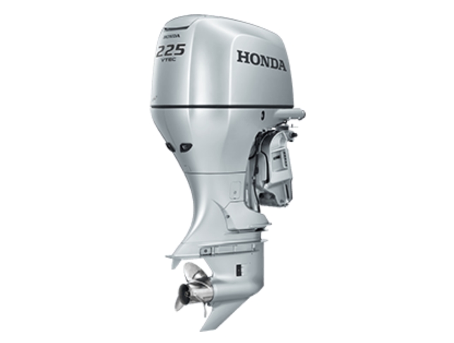 Motor fuera de borda BF 225