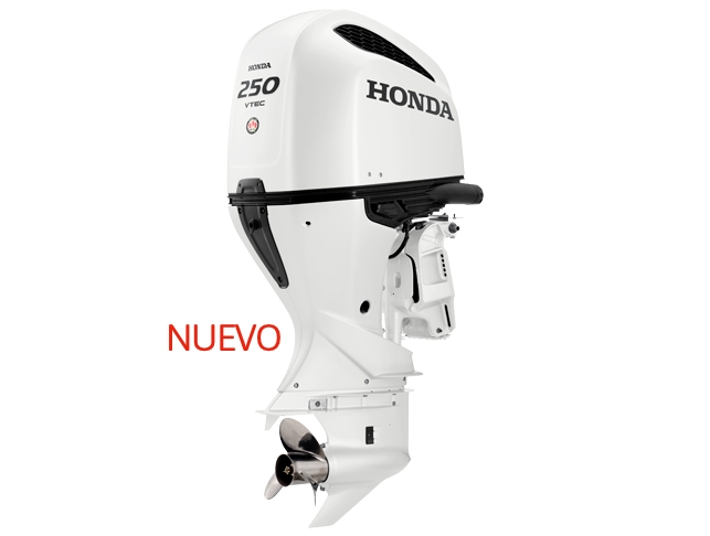 Motor fuera de borda BF 250 DBW