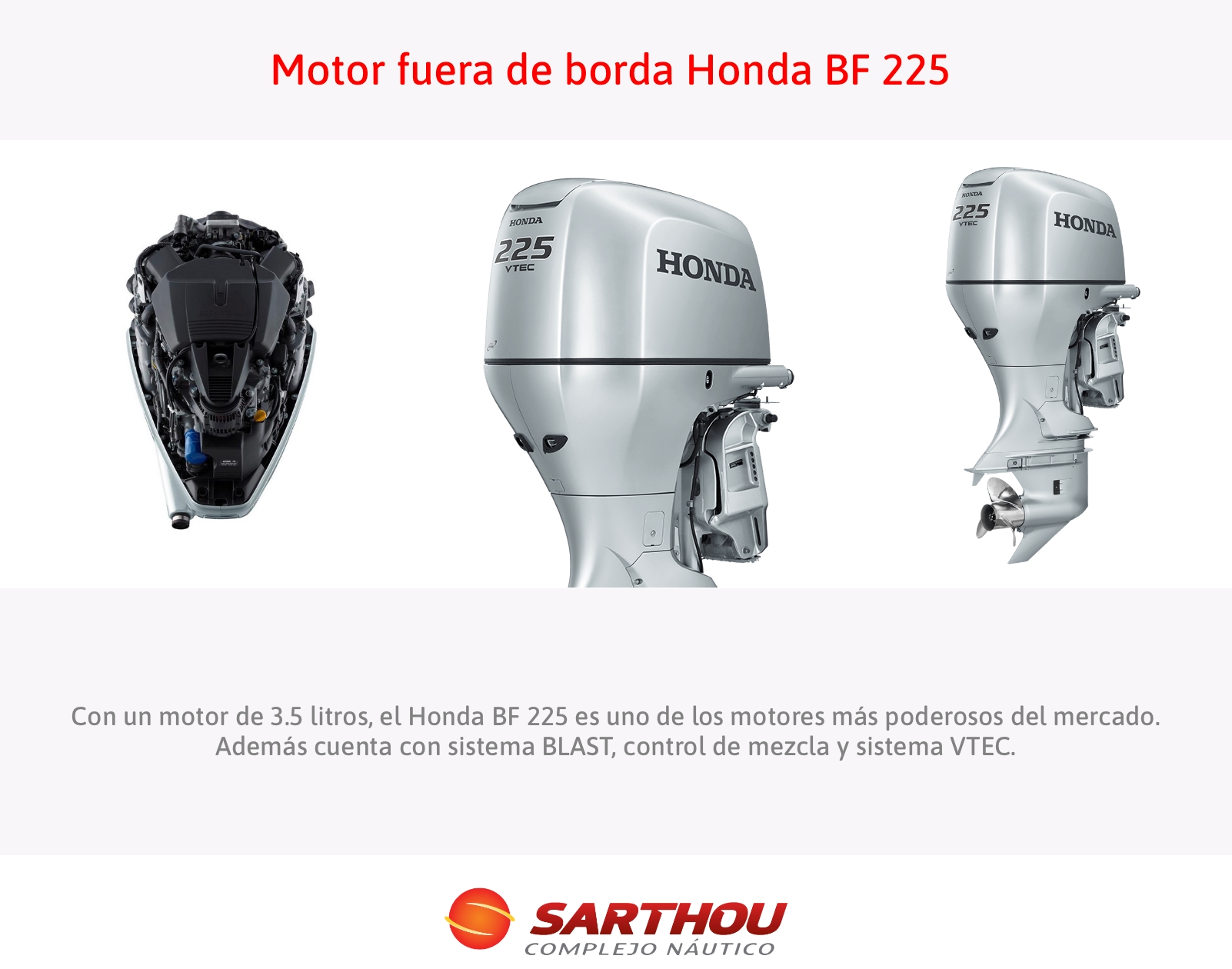 Motor fuera de borda BF 225