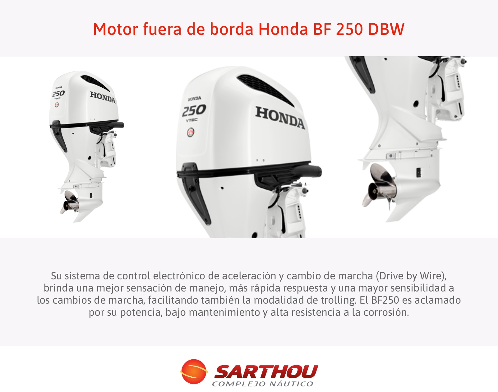 Motor fuera de borda BF 250 DBW