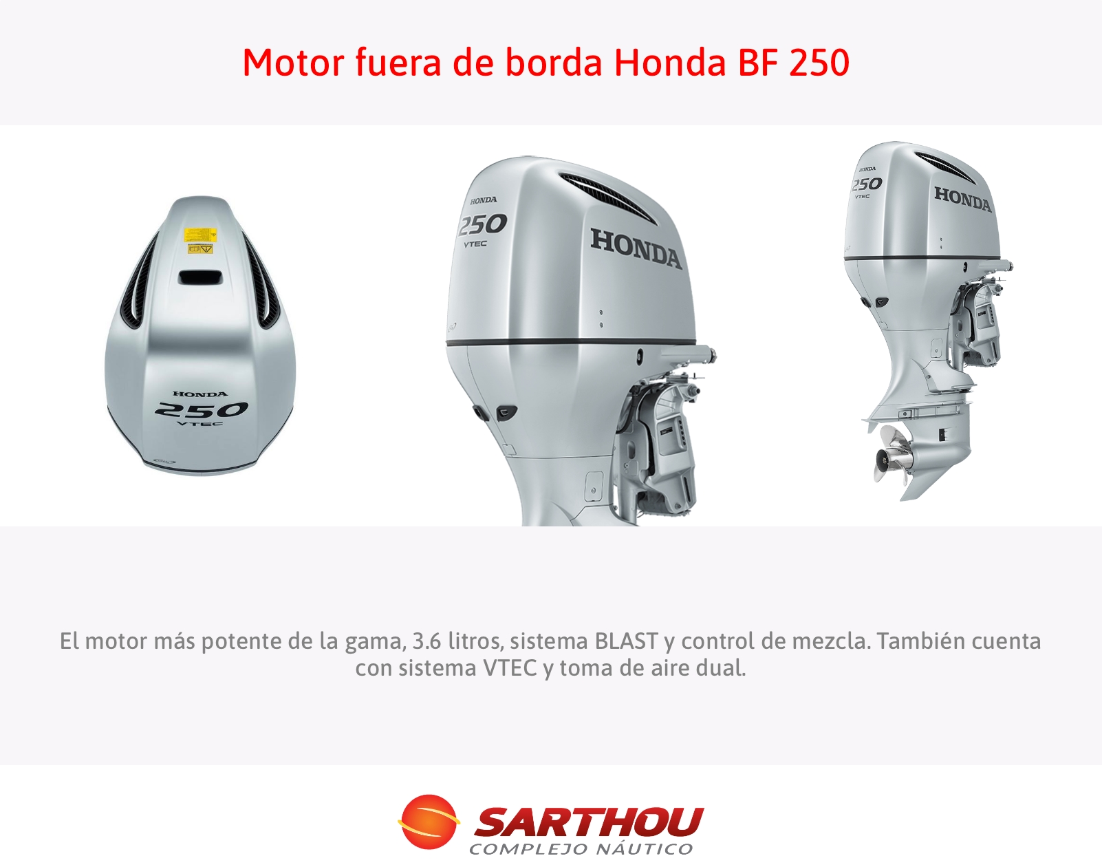 Motor fuera de borda BF 250